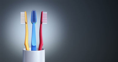 The All-New Toothbrush Protectors to Go For This Season